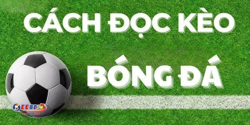 cách đọc kèo cược bóng đá