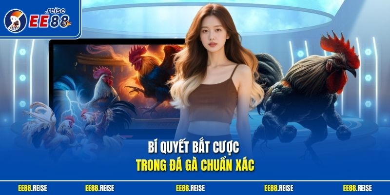 Bí quyết bắt cược trong đá gà chuẩn xác