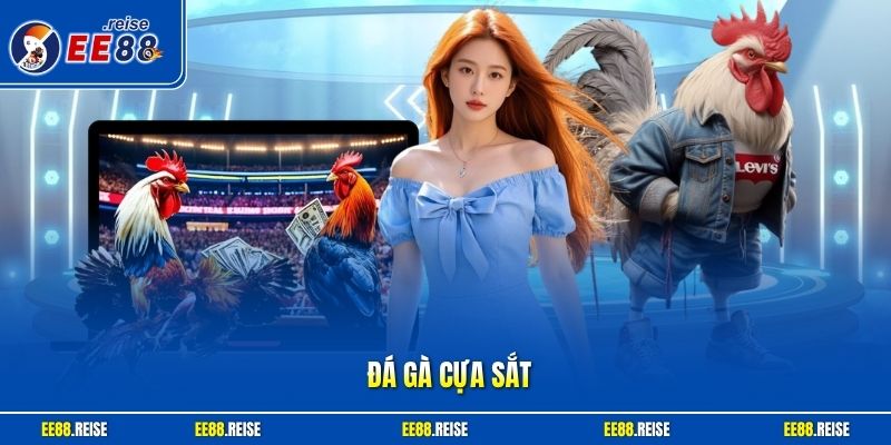Đá gà cựa sắt