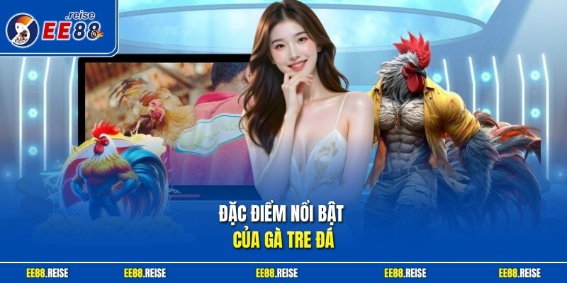 Đặc điểm nổi bật của gà tre đá