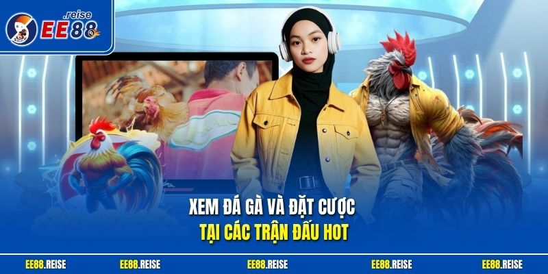 Xem đá gà và đặt cược tại các trận đấu hot
